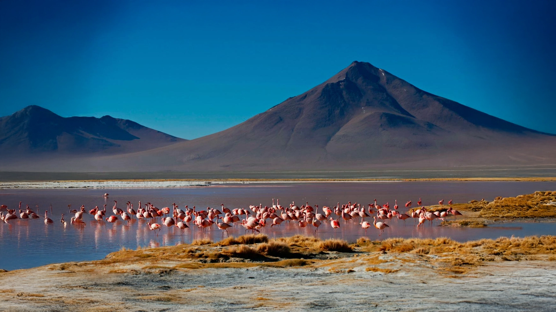 Tour Perú con Yelco