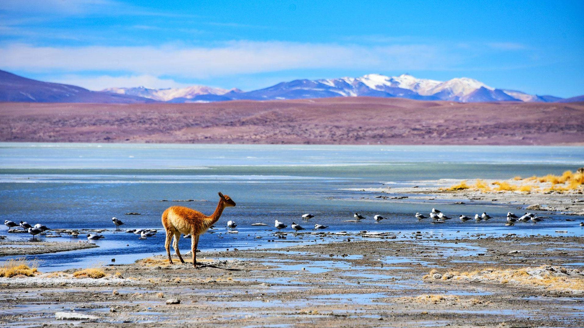 Tour Perú con Yelco